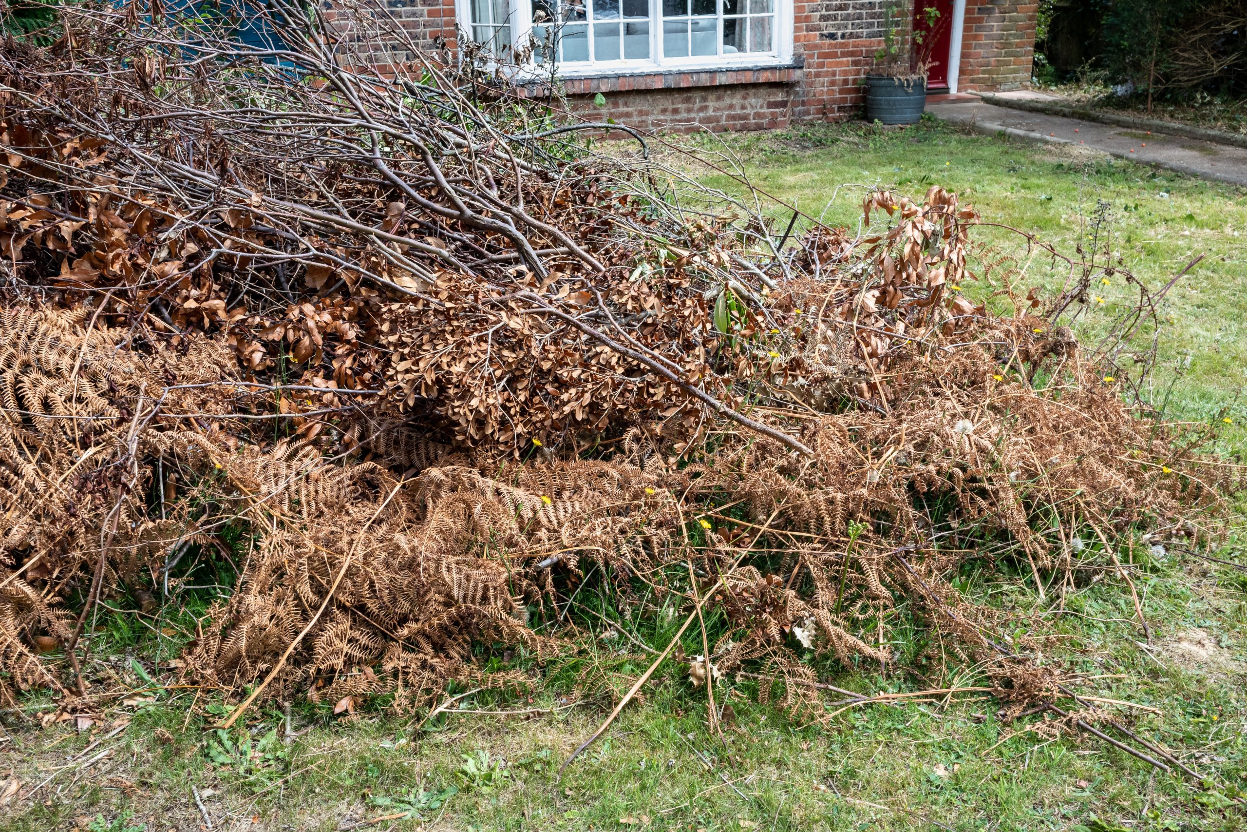 Garden Green Waste Removal Chessington KT9